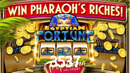 3537 - cassino ao vivo